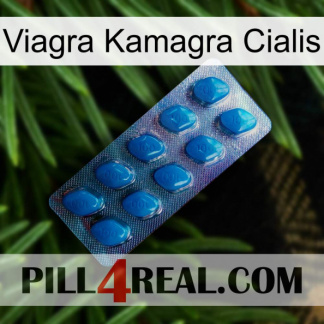 Viagra Kamagra Cialis viagra1